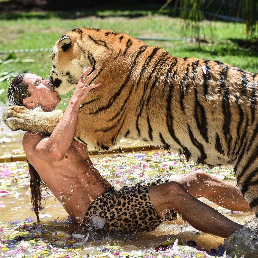 Hombre monta a un tigre