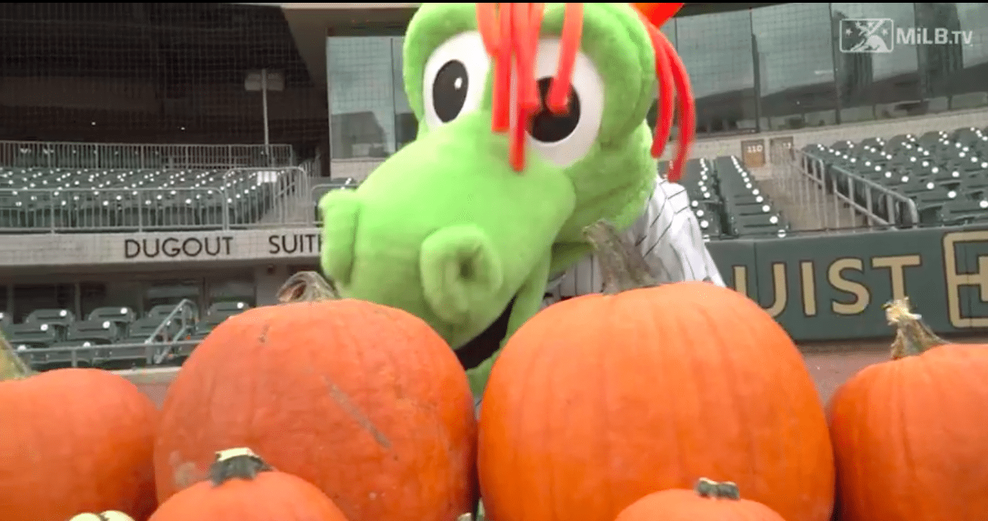 charlotte-el-parque-de-beisbol-esta-organizando-un-parche-de-calabaza-este-fin-de-semana