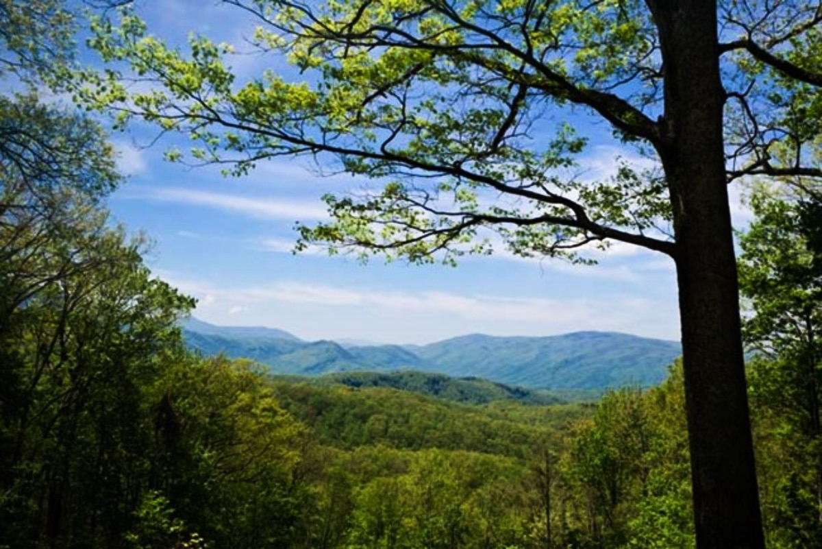 Great Smoky Mountains