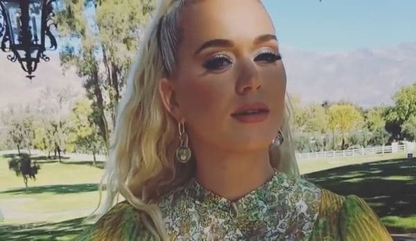 Katy Perry enamoró a sus fans