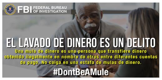 ¿Sabes qué es una mula para lavar dinero? Aquí te contamos