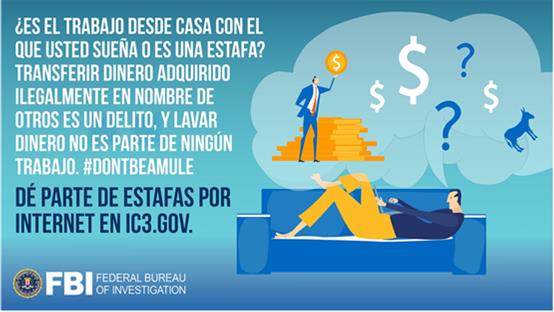 ¿Sabes qué es una mula para lavar dinero? Aquí te contamos