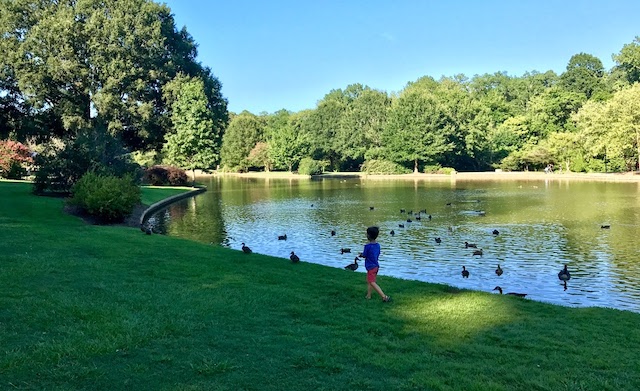 Disfruta de un día especial en Freedom Park
