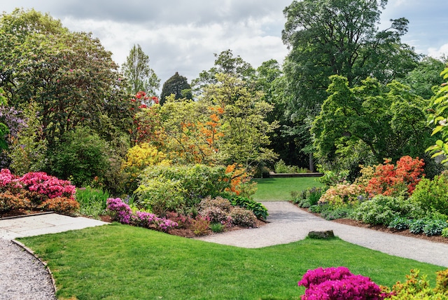 Cinco jardines para visitar este verano en el Triángulo