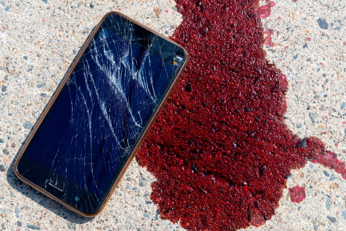 El adolescente fue asesinado durante una reunión para comprar un celular