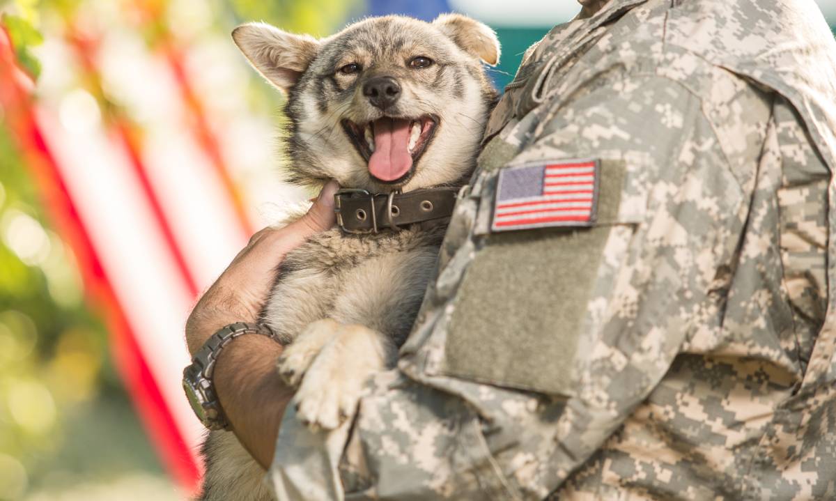 El ex entrenador en jefe de los Carolina Panthers, Ron Rivera, y su esposa Stephanie, están llevando a cabo una iniciativa para entrenar perros que se encuentran refugios para que se conviertan en perros de servicio para los veteranos necesitados.