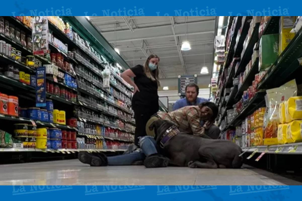 Perrito salva a su dueña tras convulsiones en tienda de NC, así alertó a los empleados