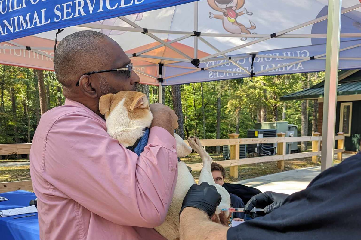 Consejos para Viajar con Tu Mascota 🐶 - Tips y Recomendaciones, image size:1200x800