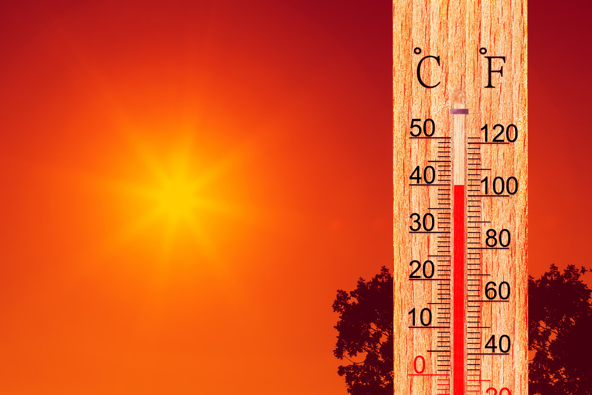 Más sombra, menos estrés: un plan local contra el calor extremo que mejora salud y aprendizaje