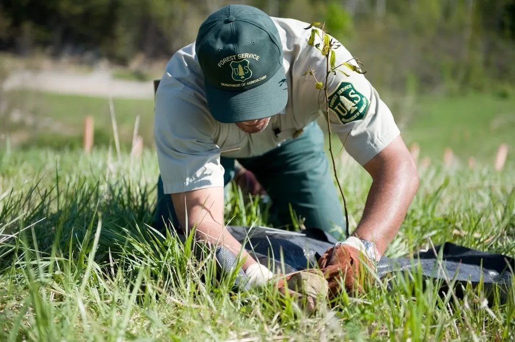 ¿Por qué el Servicio Forestal pidió una redada migratoria?